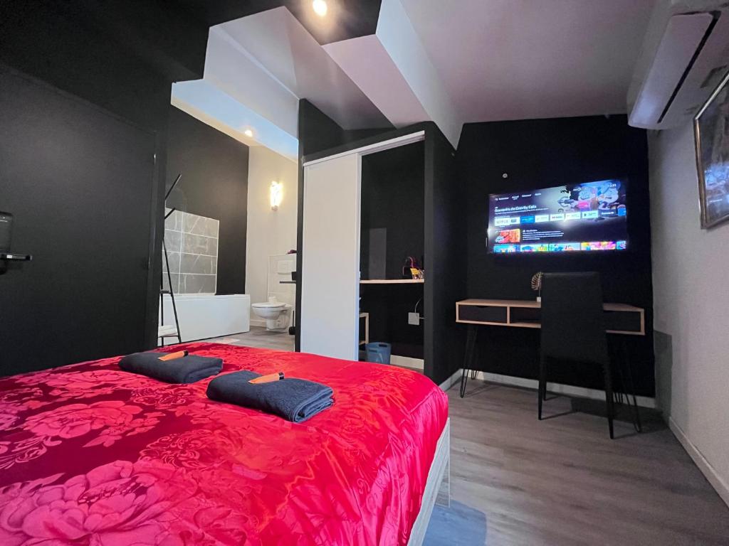 Studio Baignoire centre ville - 2