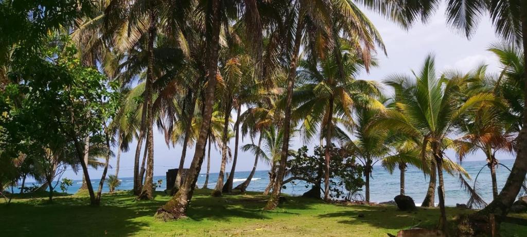 Coral View Hostel