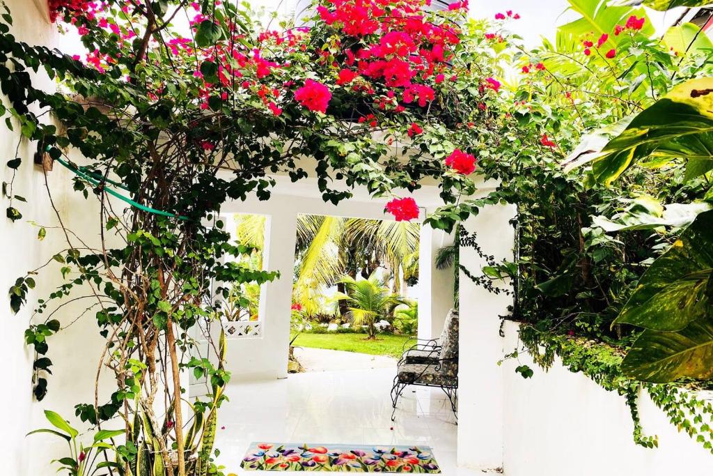 The Suite at Rhyne House book one or more bedroom, Montego Bay