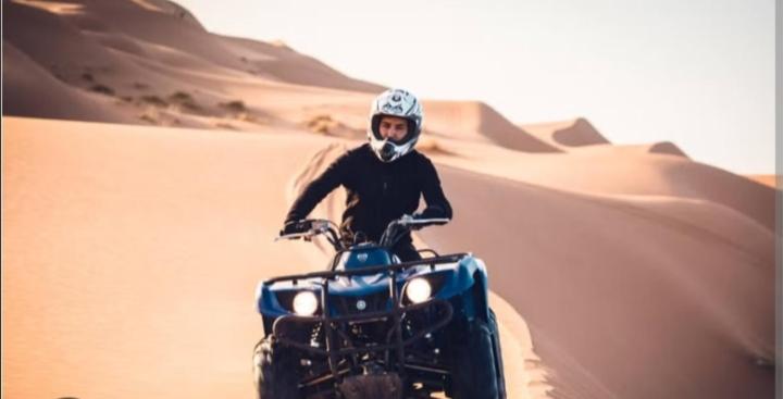 Merzouga desert camel, Merzouga