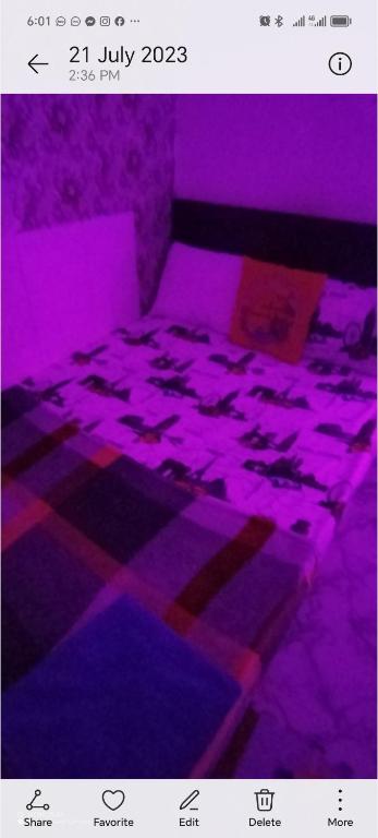 Ultimate, Abú Zabí