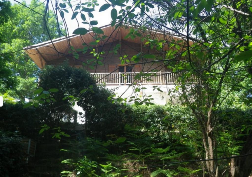Chalet des dunes - 1