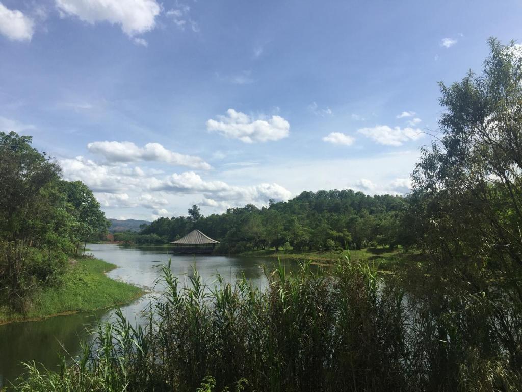 Surrounding environment