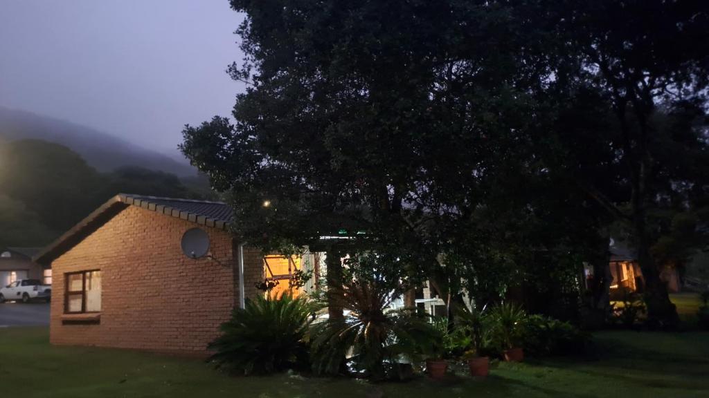 Bibi Ellipsis, Knysna