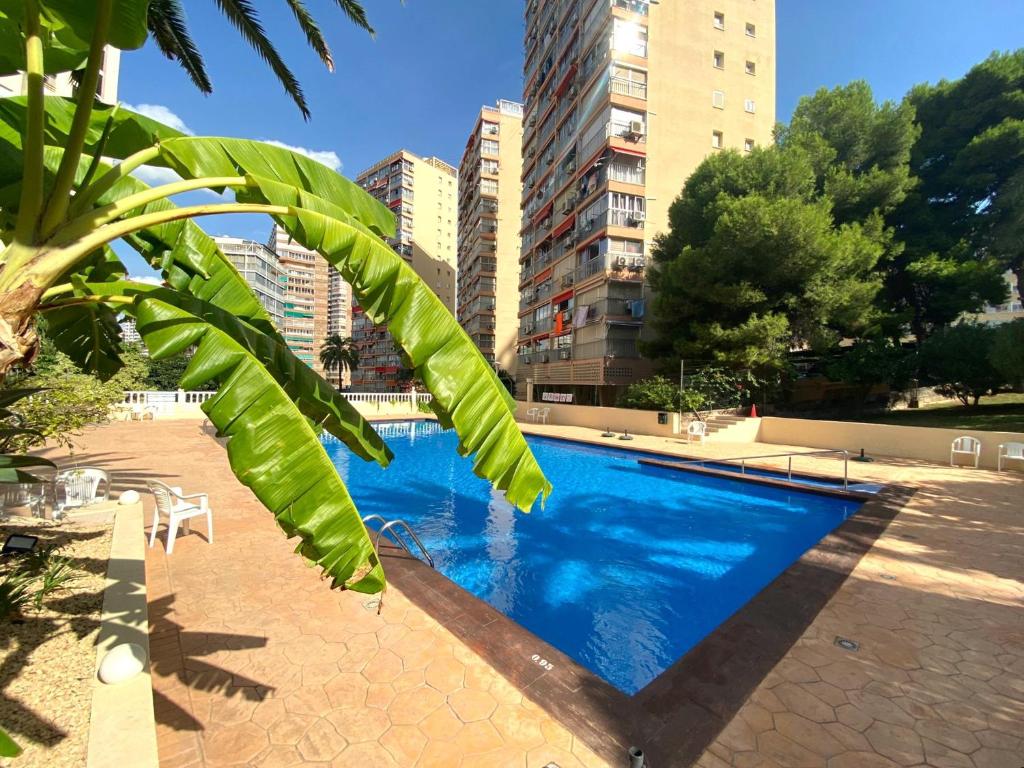 Don Miguel I-2, Benidorm