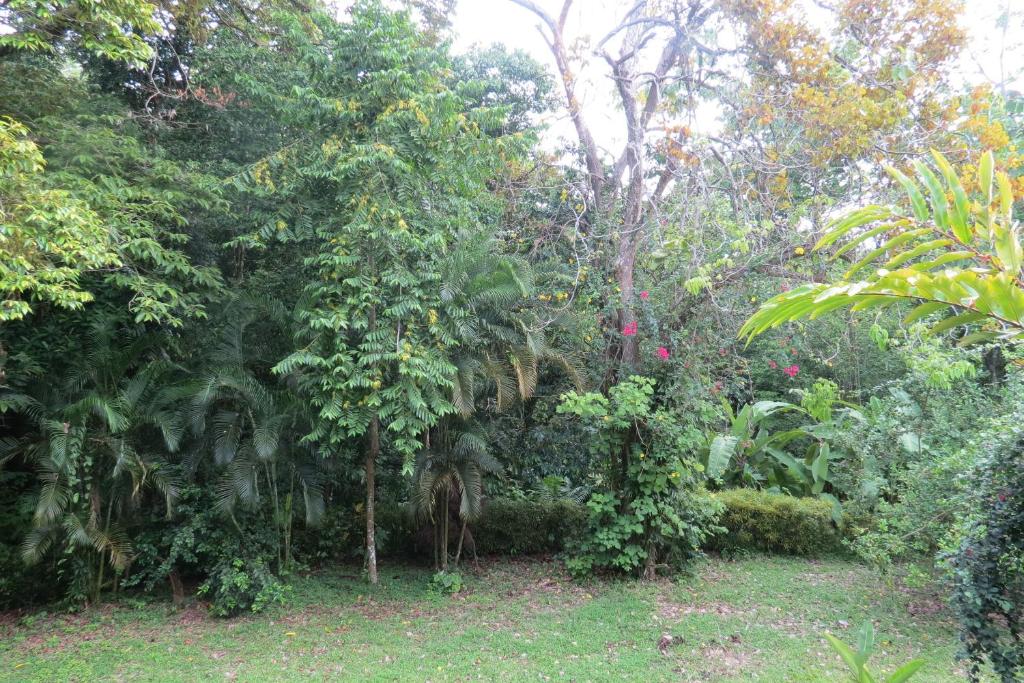 Apartamento Karibu photo