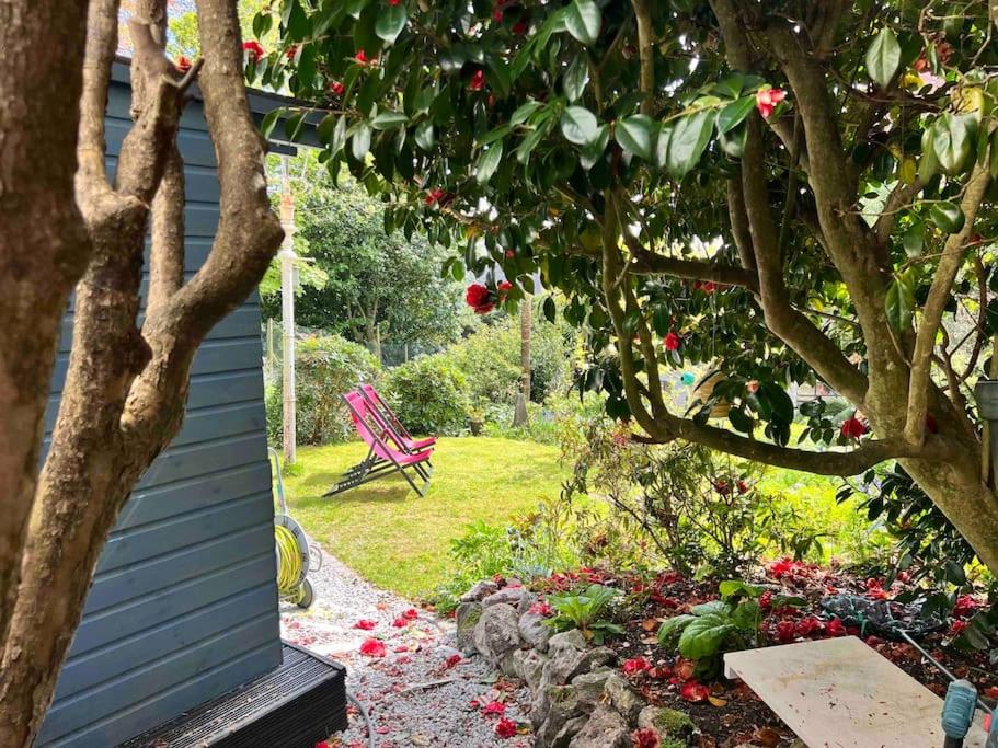 The Hive, St Austell