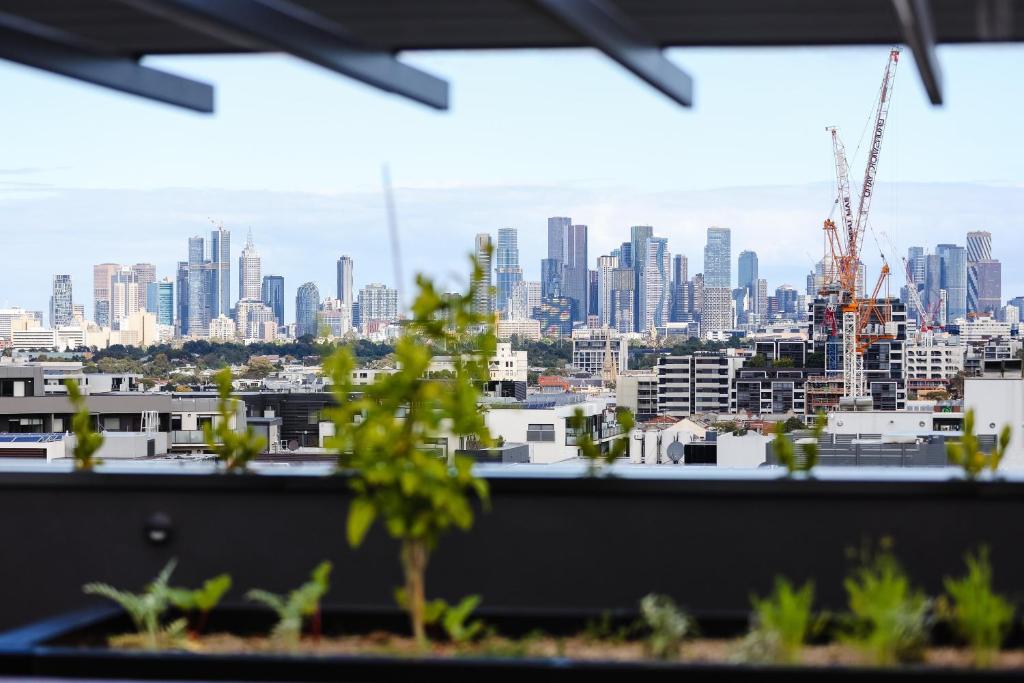 Rambla at Solarino House, Melbourne