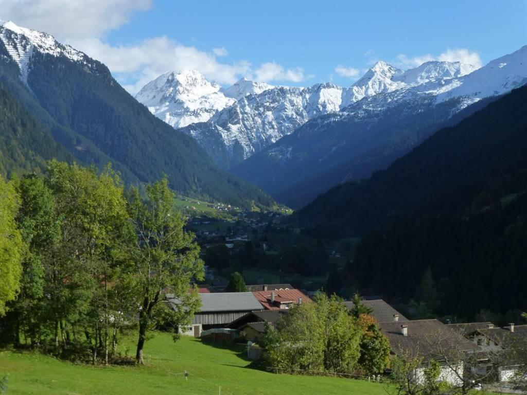 Appartement Zint - 5