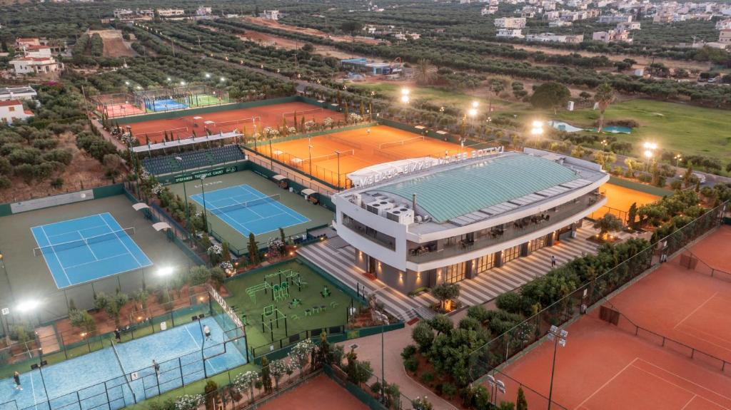 アクティビティ