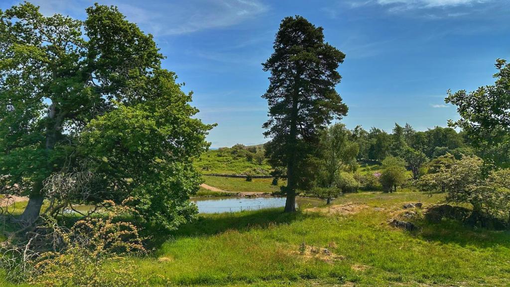 Surrounding environment