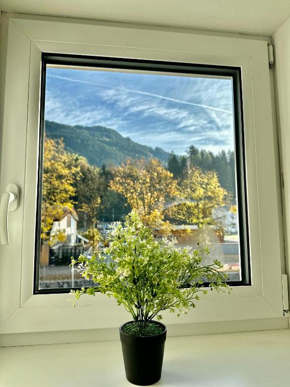 Central Kitz Apartments - 4