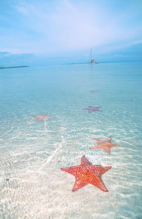 Punta Caracol Acqua Lodge photo
