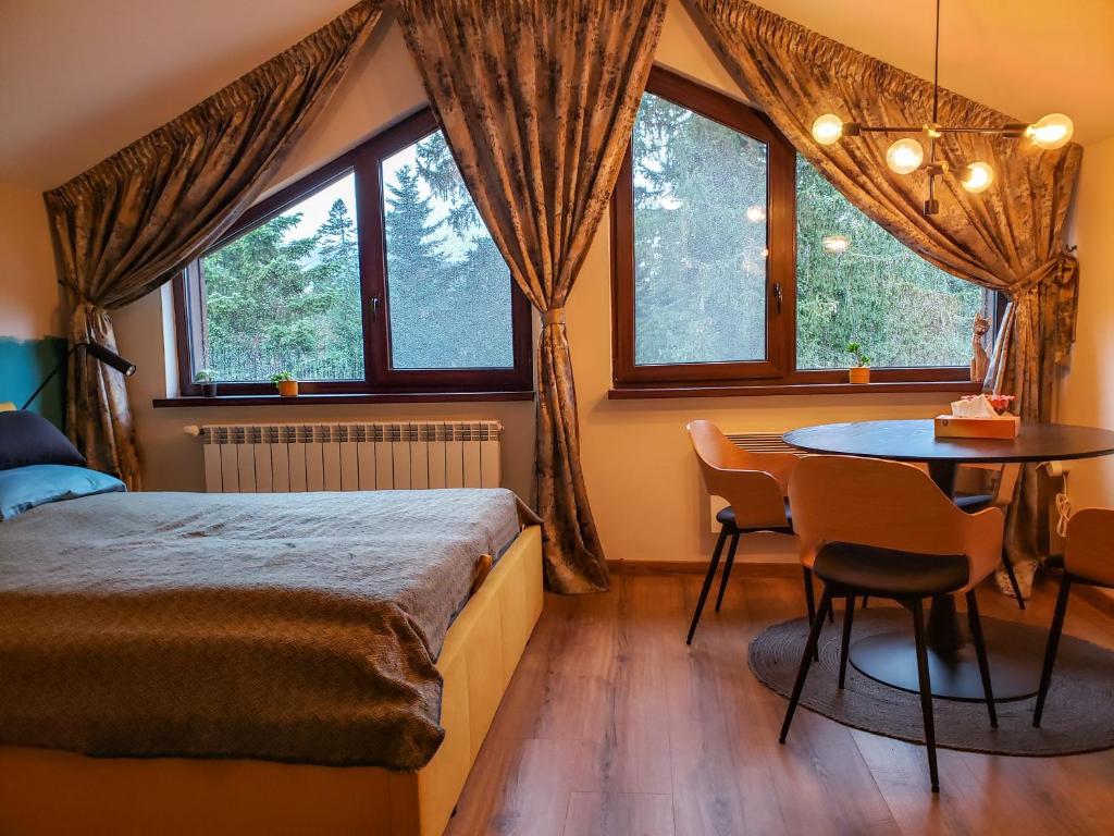 Borovets Forest view (A56), Borovec