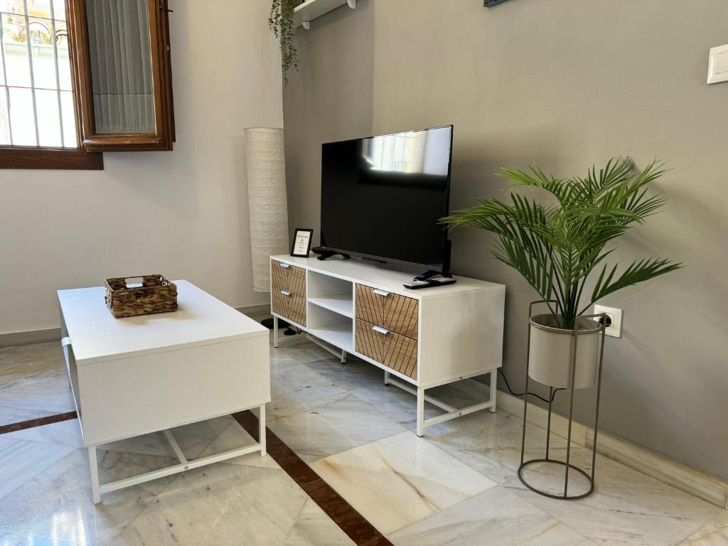 Apartamento Mundano - 5