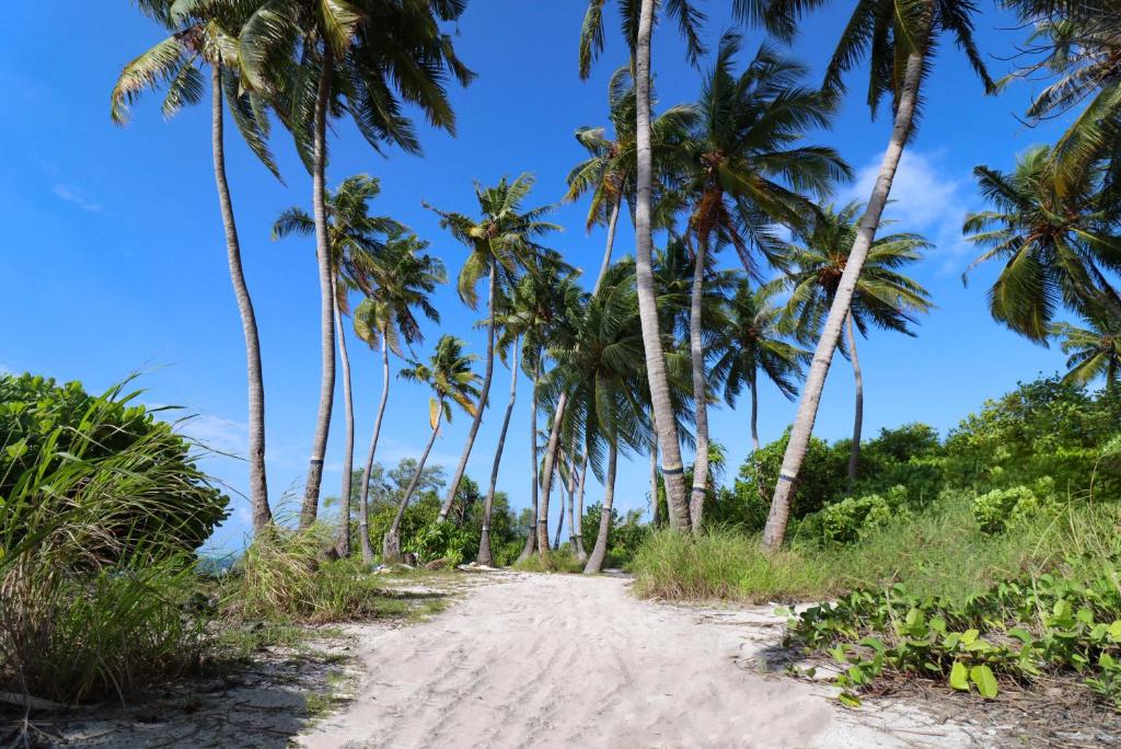 Surrounding environment