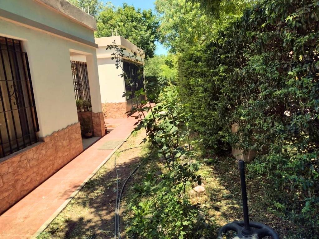 Casa Mis Viejos - 4