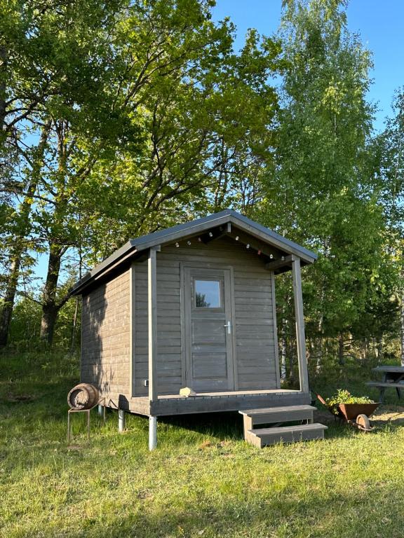 Mazie Salnēni, Vecpiebalga