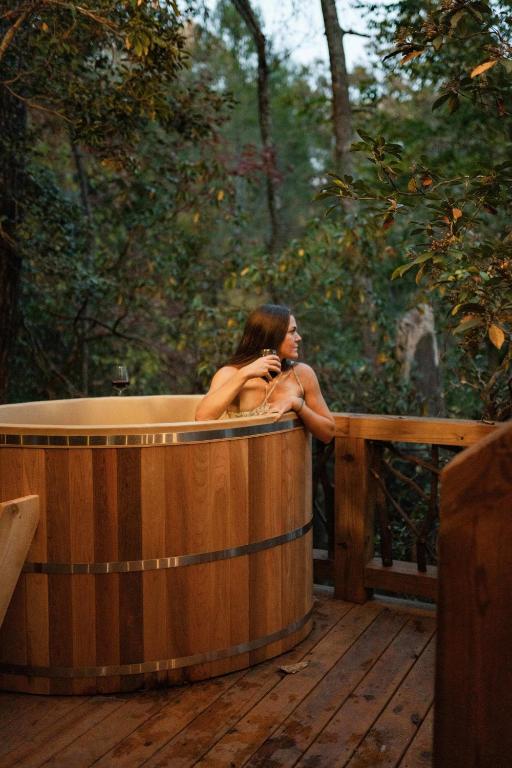 Log Cabin with Mountain View and Privacy, Blue Ridge