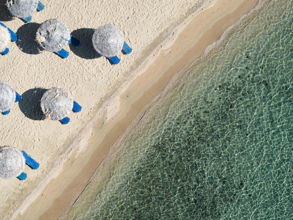 Glavas Inn Hotel — Beach in Gerakini, Central Macedonia