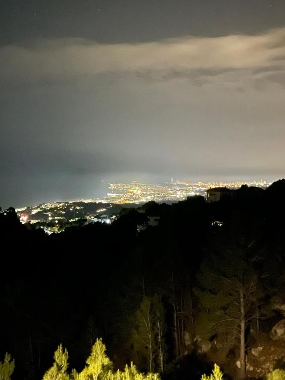 Altea Dreamview - 3