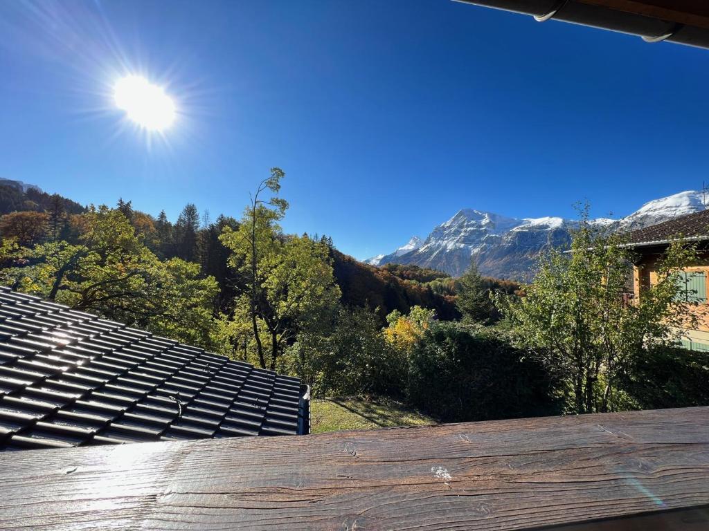 Chalet Haut Standing à proximité du centre (CH228) - 2