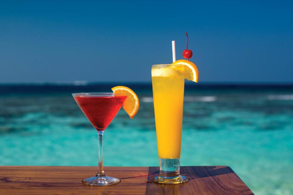 OBLU NATURE Helengeli-All-Inclusive with free Transfers — Restaurant & bars in Helengeli, Kaafu