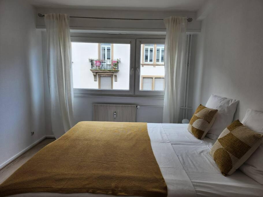 Logement familial/ Orangerie - 5
