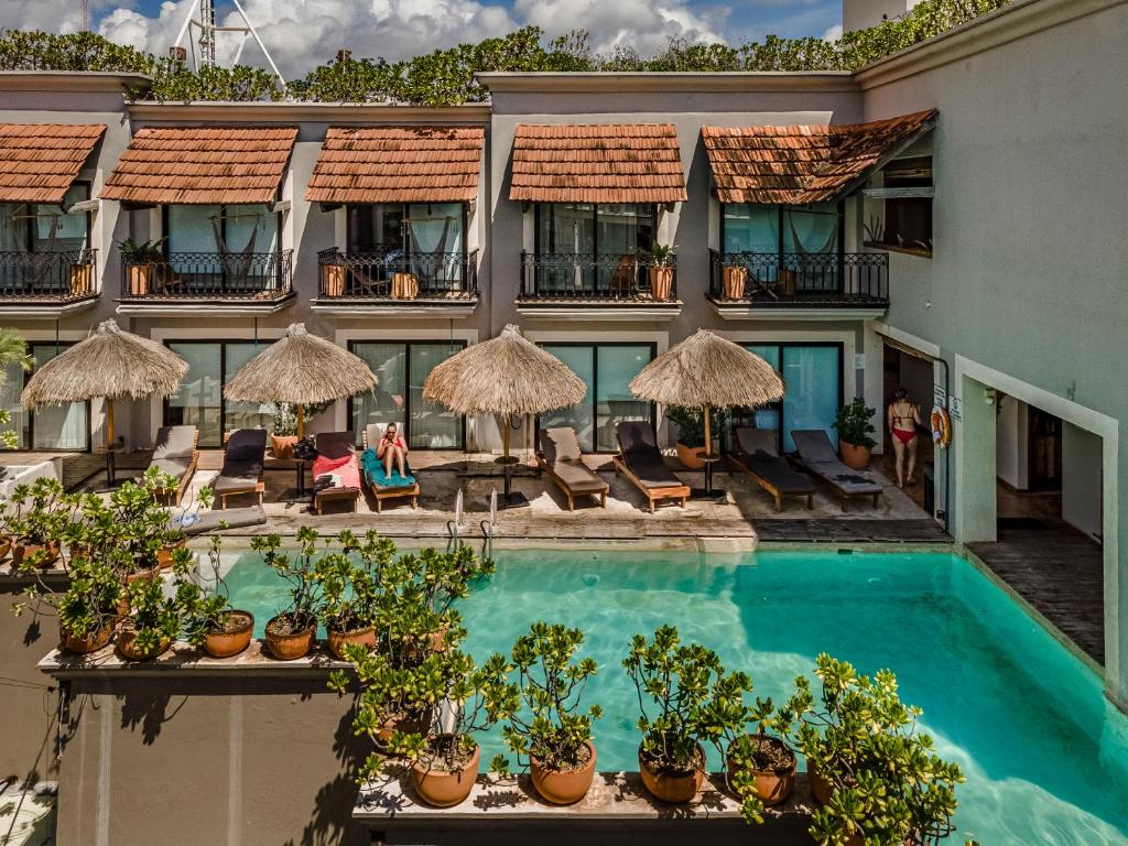 Caribbean Paradise Hotel & Spa - 5th Avenue - 4