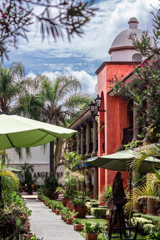 Garden, Hotel Angel Inn in Oaxaca