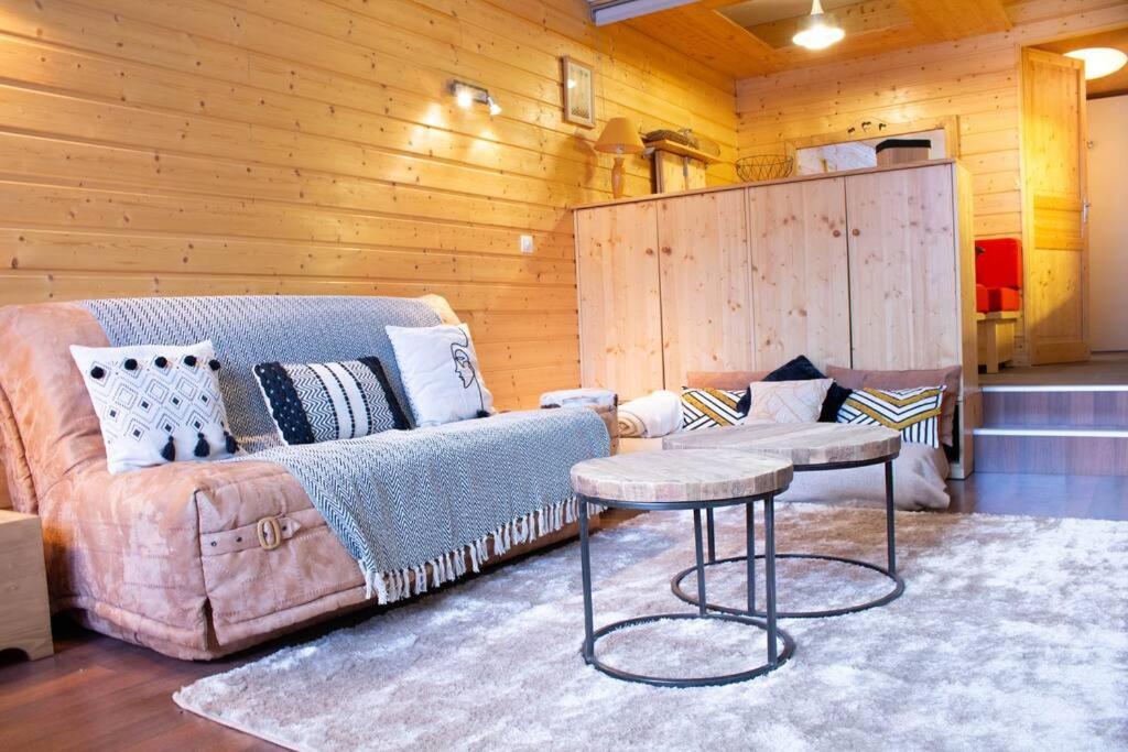 Cosy/familiale/Front de neige - 1