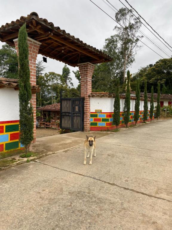 Ciudadela El Artesano - 1