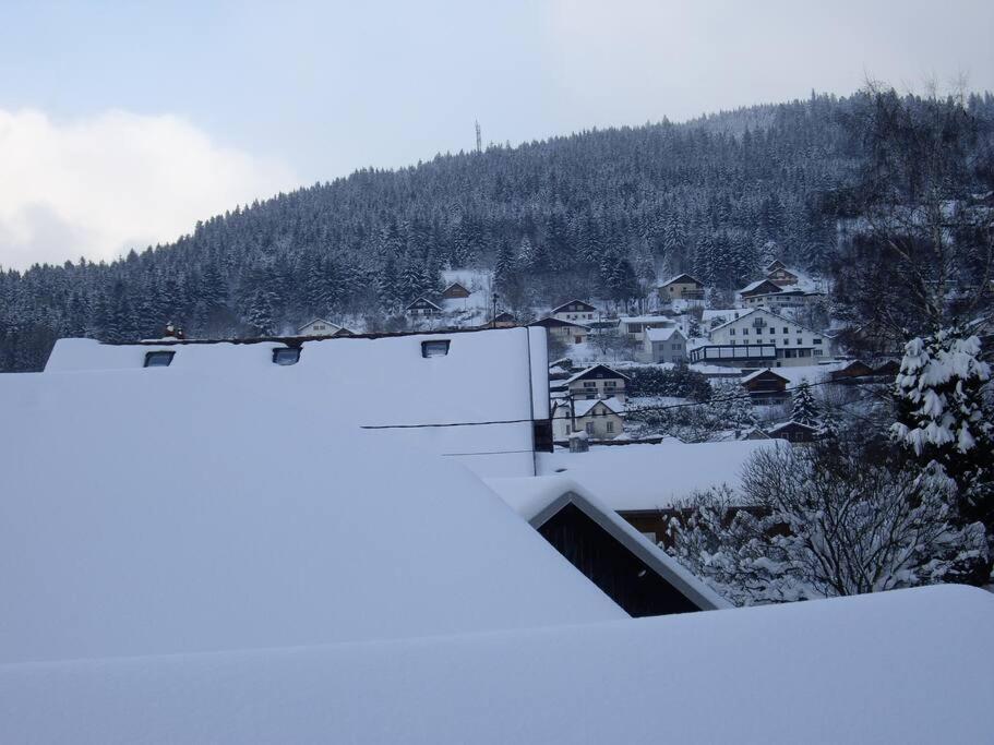 le Loft de Gérardmer - Cozy et spacieux - 5
