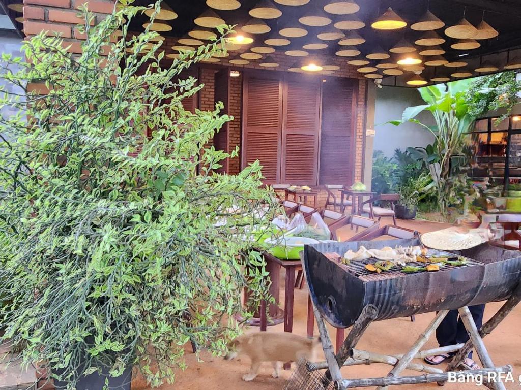 Paksong Farmstay Gia Lai - Venuestay