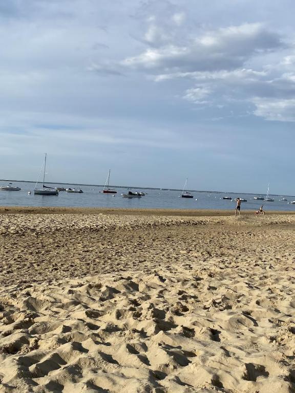 Très bel appartement en rez de jardin, Pereire, 100 m de la plage - 4