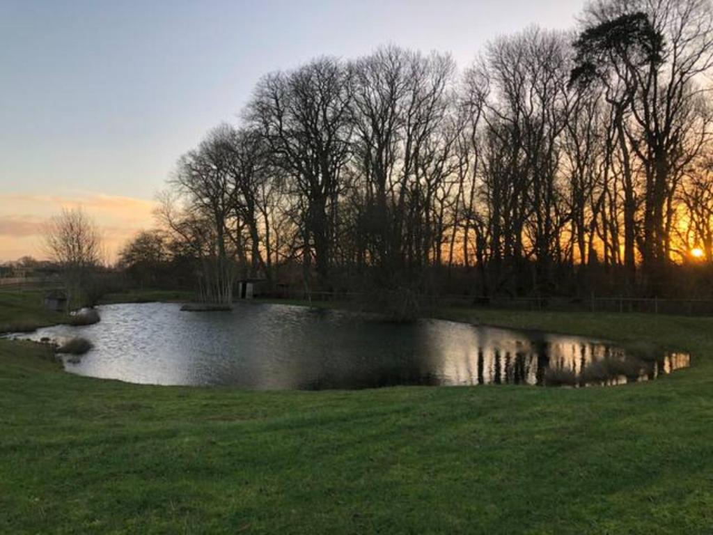Stay at Riverwood Lodges in South West England, England photo 4