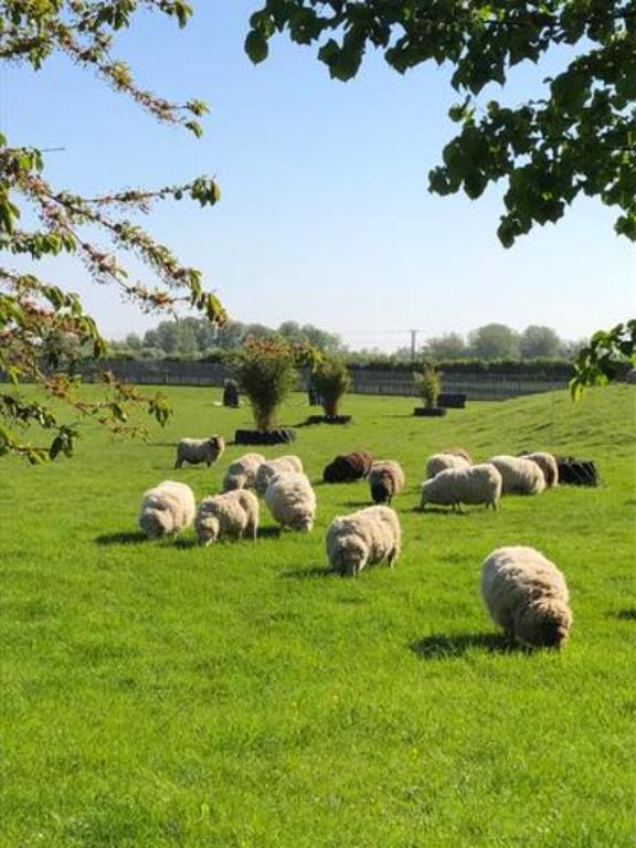 Stay at Riverwood Lodges in South West England, England photo 2
