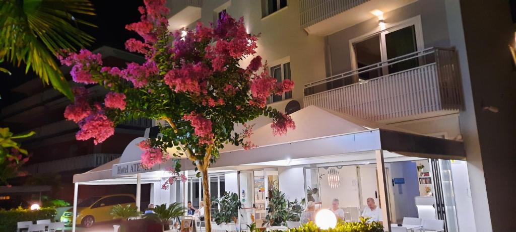 Hotel Atenea Golden Star - 5