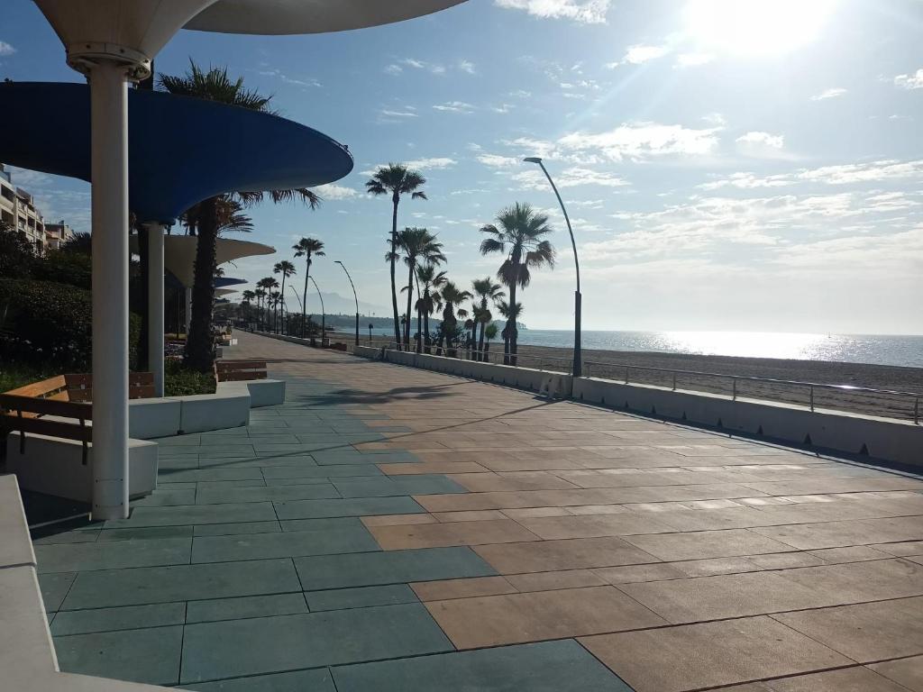 SALIX DON TOMAS, Estepona