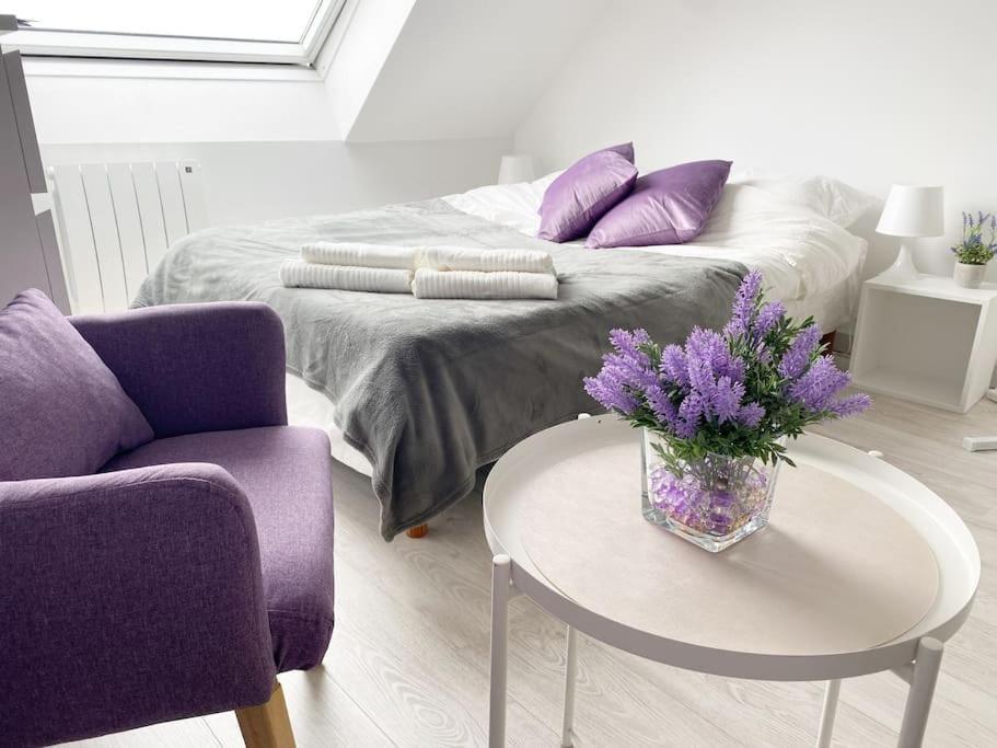 Esprit Violet - Joli Studio Salengro - Sauna & Sport club, Mulhouse