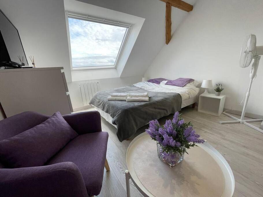 Esprit Violet - Joli Studio Salengro - Sauna & Sport club - 3
