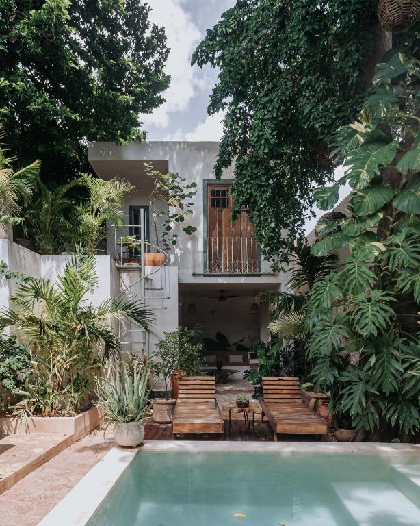 Casa Mezcla - Bed & Breakfast - 2