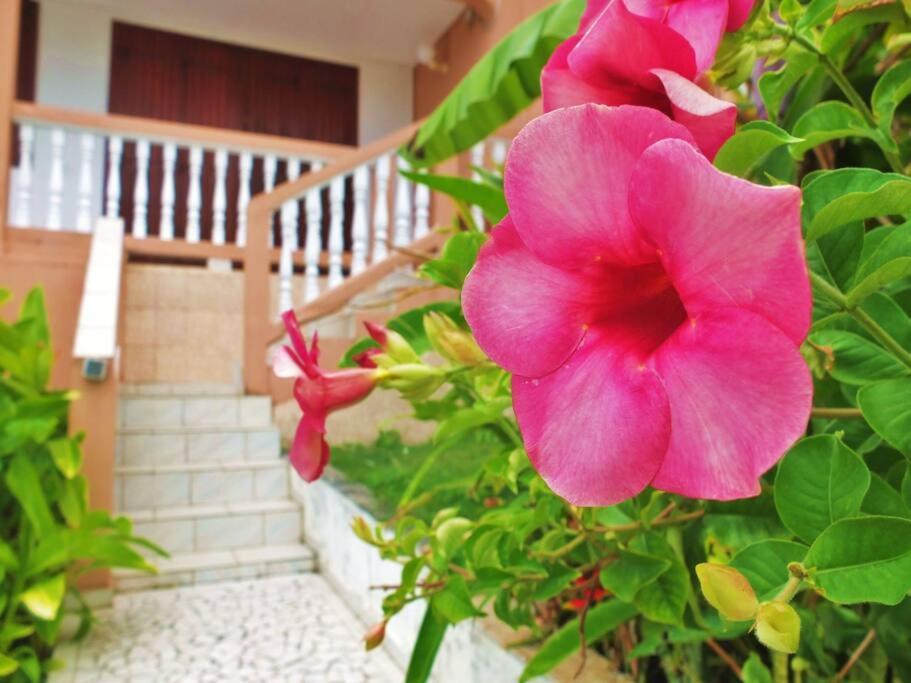 L'appartement SAPOTILLE, Le Gosier