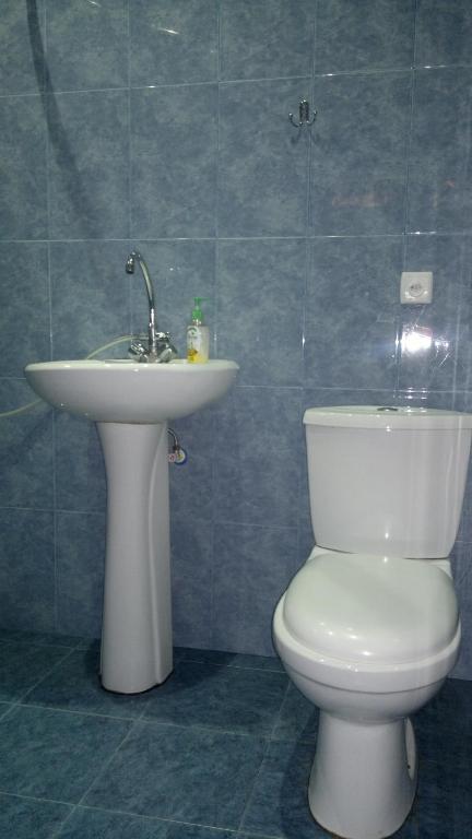 Guest House Besarioni photo