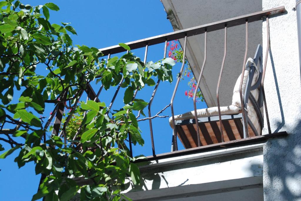 Albergo Alla Valle di Banne - 4