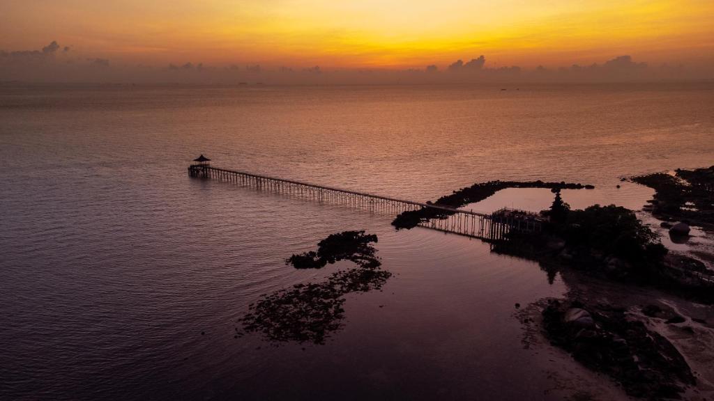 Surrounding environment