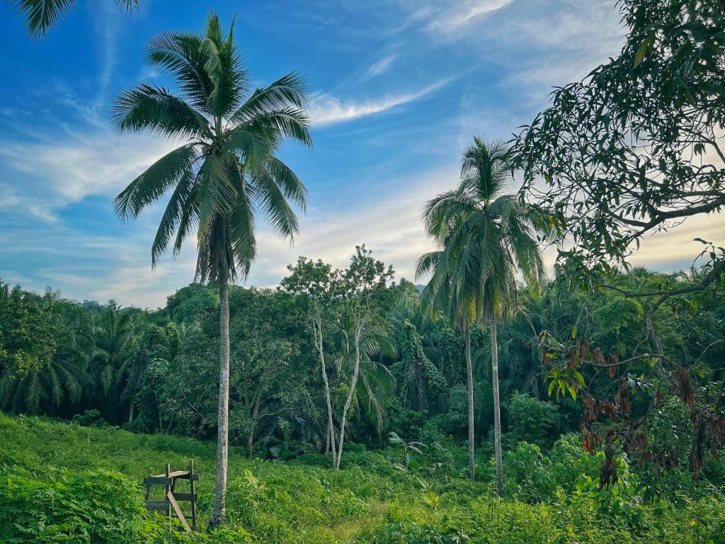 Beautiful natural surroundings