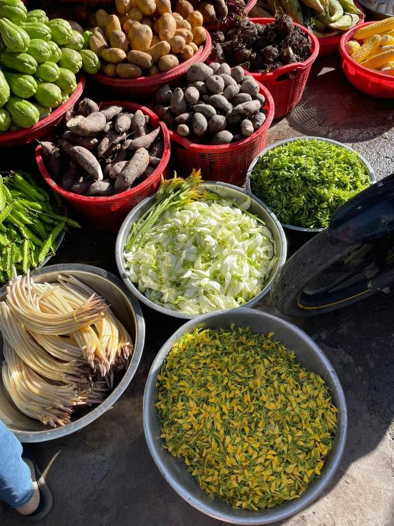 Adora for Expat Adora for Expat