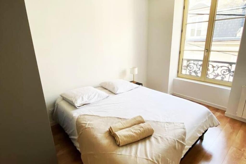 Appartement 4 chambres spacieux et lumineux - 4