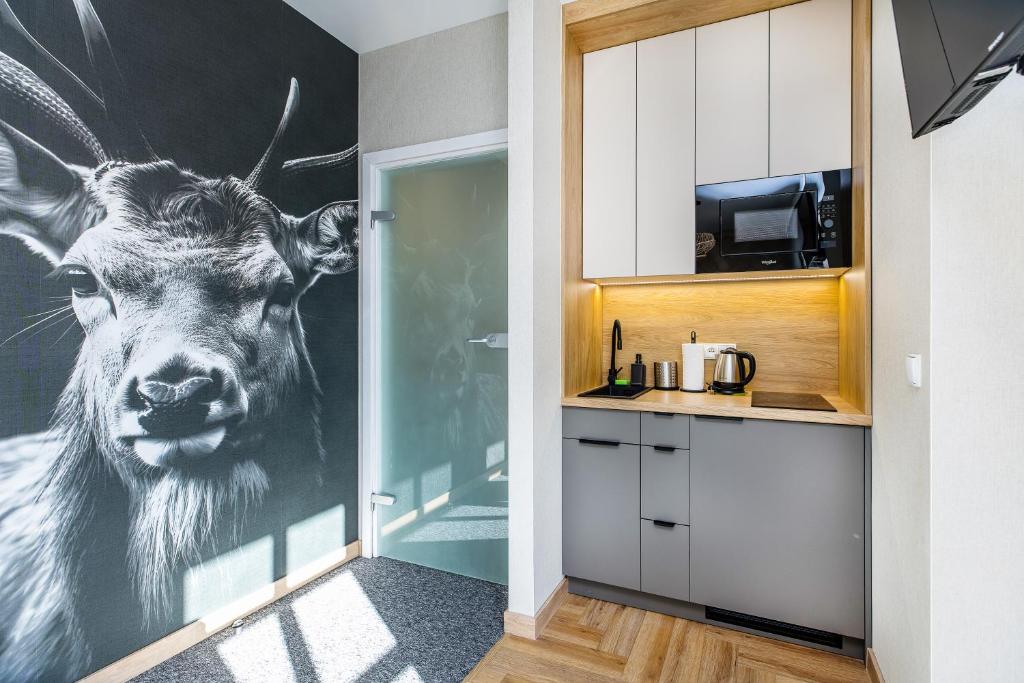 Bukowina Tatrzańska - apartament Gil z widokiem na Tatry